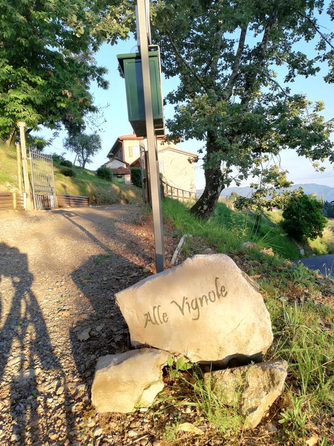Alle Vignole Bed & Breakfast Coreglia Antelminelli Bagian luar foto